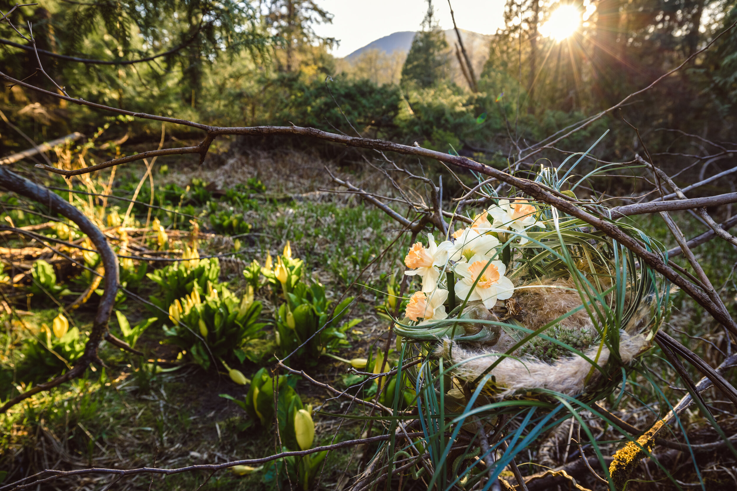 FLOWER NESTS - Creative Edge April 2021 — Hitomi Gilliam AIFD FLOWER NESTS - Creative Edge April 2021 — Hitomi Gilliam AIFD